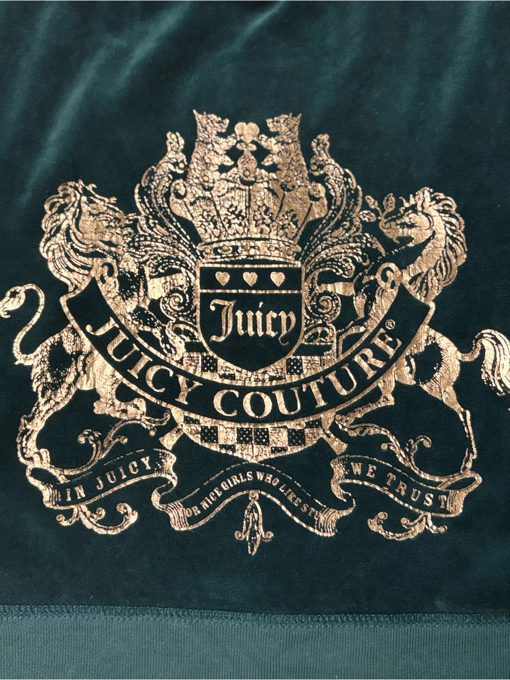 Y2K Juicy Couture Teal Velvet Zip Hoodie with J Zipper Pull (runs small) Med - Picture 8 of 10